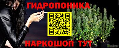 прущие грибы Новокубанск