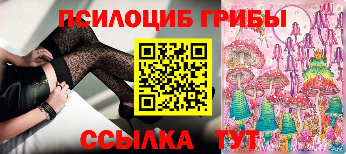 Галлюциногенные грибы мухоморы  продажа наркотиков  Вход с VPN  Тобольск  Псилоцибиновые грибы Psilocybe 